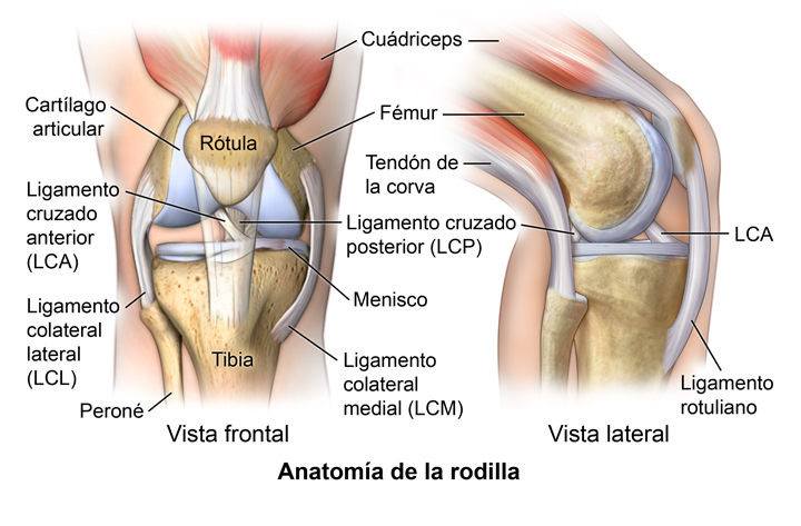 lesiones
