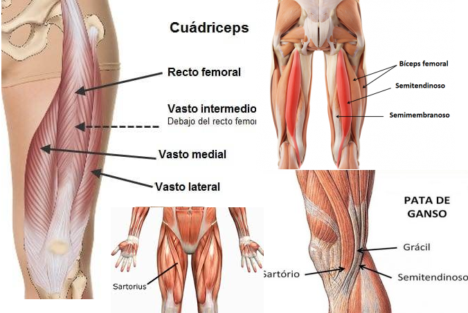 Osgood-Schlatter